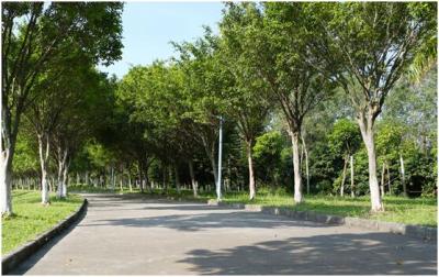 QQ图片20170728094111.jpg QQ图片20170728094111.jpg