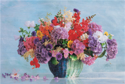 TPG07329459.jpg TPG07329459.jpg