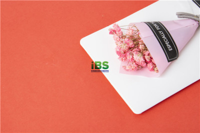 IMG_3489.jpg IMG_3489.jpg