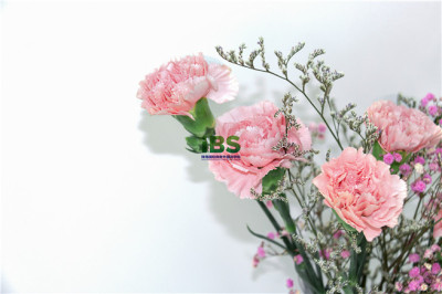 IMG_3861 0.jpg IMG_3861 0.jpg