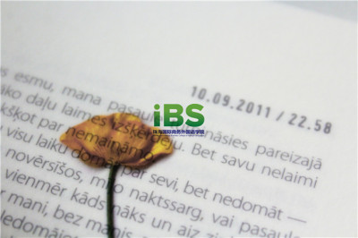 white-paper-with-dried-flower-3309968.jpg white-paper-with-dried-flower-3309968.jpg