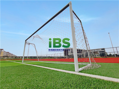 IMG_20190612_.jpg IMG_20190612_.jpg