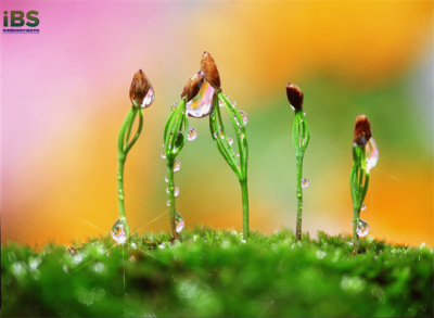 惊蛰.jpg 惊蛰.jpg