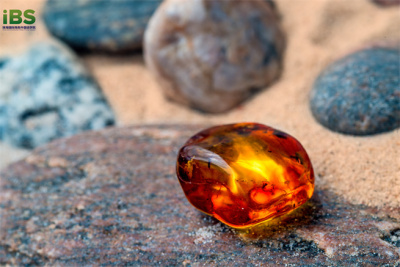 摄图网_303330486_白海沙滩上的琥珀(企业商用).jpg 摄图网_303330486_白海沙滩上的琥珀(企业商用).jpg