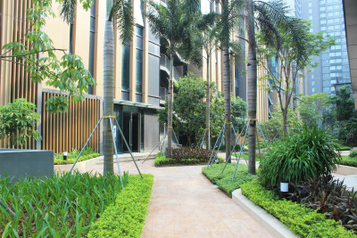 IMG_8892.jpg IMG_8892.jpg