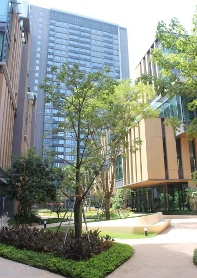 IMG_8965.jpg IMG_8965.jpg