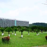 iBS英语缘何能独树一帜