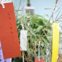 iBS日语沙龙“七夕祈福”