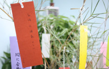 iBS日语沙龙“七夕祈福”