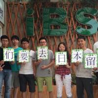 我们相约 樱花树下