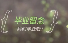 iBS-日语39毕业留念合影