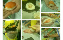 iBS寿司活动与大家分享~~