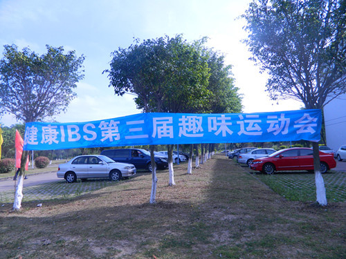 IBS第三届趣味运动会