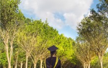 深圳哪里有英语成人学校