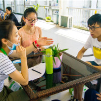 上海全日制成人英语培训教你学习英语的办法