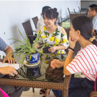 商务英语怎么学