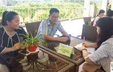 英语四级学习方法