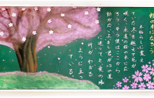 小语种校区，“樱花の故事”，焕活黑板报，激发新生机
