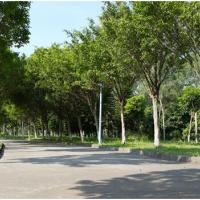 零基础怎样学习英语:拥有热情 从发音开始