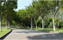 零基础怎样学习英语:拥有热情 从发音开始