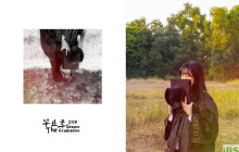 湖北哪里可以学英语 如何才能学好英语