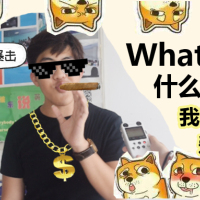 iBS校园采访第五弹丨“这个七夕节，你....." “我热爱学习！”（视频）