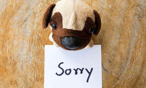 Apologize for declining 表示歉意