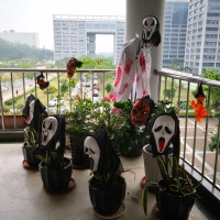 iBS丨万圣节派糖福利视频大放送！少年，你吃到糖了吗？