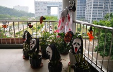 iBS丨万圣节派糖福利视频大放送！少年，你吃到糖了吗？