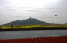 孩子上了国际学校之后还想参加高考可以吗?