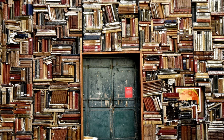 特殊时期国际学校入学申请流程发生了哪些变化?