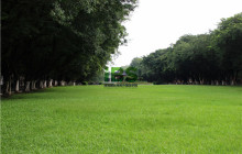 中山那个学校学英语是最好