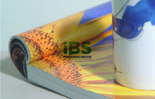 汕头哪里可以学语言