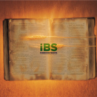 IBS宿舍文化有奖征文比赛