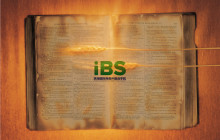 IBS宿舍文化有奖征文比赛