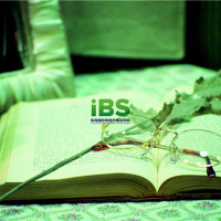 商务英语 翻译的概念