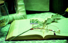 商务英语 翻译的概念