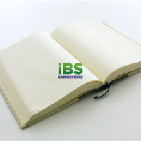 商务英语 中国国内翻译的标准