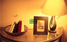 商务英语 商标是什么