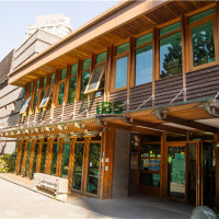 商务英语 各国关于步行街的英语翻译