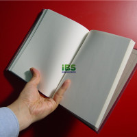 【商务英语】情况说明报告英文范文