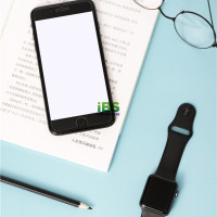 申请调动工作英文范文