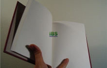 职场英语：二十几岁应该学会的时间管理技巧