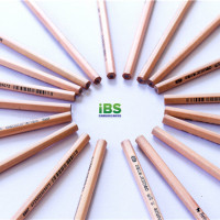 英语论文写作指南（一）