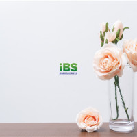 【英语口语】48个英语音标教学