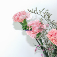 【英语口语】祝福和感谢的英语句子