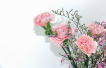 【英语口语】祝福和感谢的英语句子