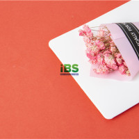 【英语口语】经典英文表白句子