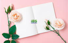 【英语口语】英语表白句子