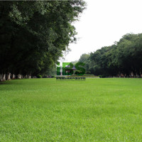 汇总丨英语日常“问候语”，你知道多少句？